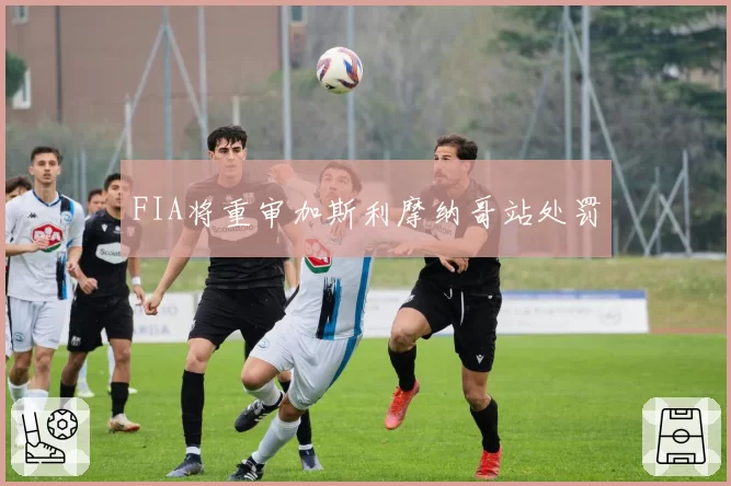 FIA将重审加斯利摩纳哥站处罚