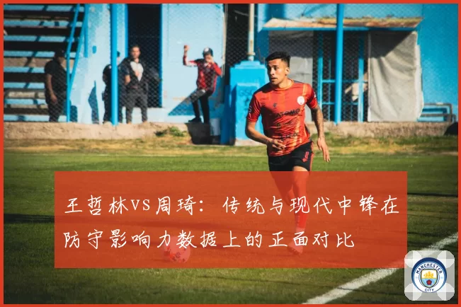 王哲林vs周琦：传统与现代中锋在防守影响力数据上的正面对比